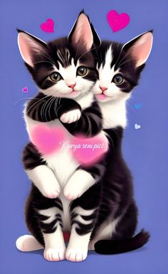 two black and white kittens sitting next to each other on a blue background with hearts