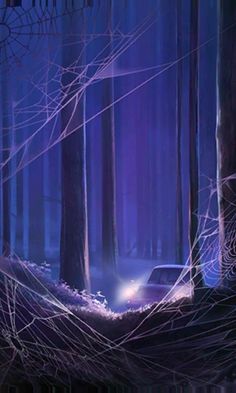 a car driving through a forest at night