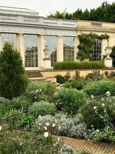 the garden is full of plants and flowers