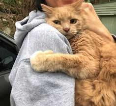 a woman holding a cat in her arms and covering it's face with a blanket