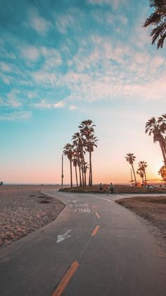 palm trees line the beach as people ride their bikes down the path to the ocean