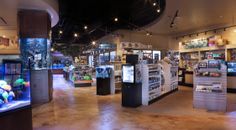 the inside of a toy store filled with lots of toys and merchandise on display in glass cases