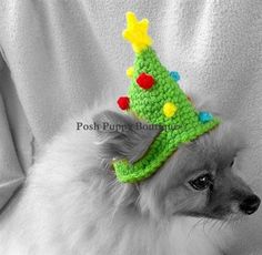 Crochet Christmas Tree Hat - Posh Puppy Boutique Crochet Christmas Tree Hat, Christmas Tree Beanie, Fancy Bed, Tiny Hats, Tree Hat, Puppy Hats, Crochet Christmas Tree, Christmas Tree Hat, Crochet Christmas Trees