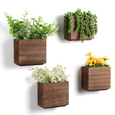 three wooden planters with flowers and plants in them on the wall next to each other