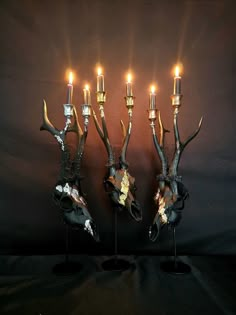 four antelope heads with candles in their mouths are shown against a black background