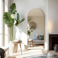 a living room filled with furniture and a large green plant in the middle of it