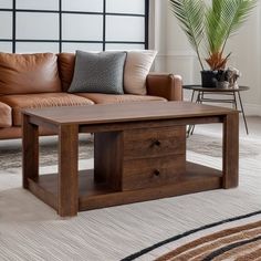 a living room with a couch, coffee table and potted plant in the corner