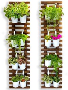 several potted plants are hanging on the side of a wooden pallet with white pots