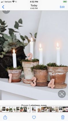 some candles are sitting on a shelf next to pots with moss and flowers in them