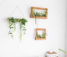 three wooden frames with plants hanging from them on the wall next to a white couch