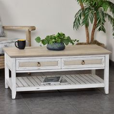 a coffee table with two drawers and a potted plant on top