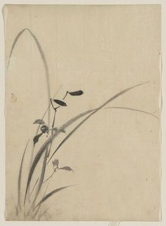 an ink drawing of grass and flowers on a white paper with black trim around the edges