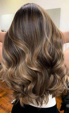 Dark Blonde And Brown Balayage, Light Brown Into Blonde Balayage, Brown To Blonde Balayage Subtle, Ashy Auburn Balayage, Balayage Babylights Brunette, Balayage Hair Back View, Brown To Balayage Blonde, Subtle Balayage Brown Hair, Hair Dye For Light Brown Hair