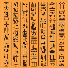 egyptian hierograms and symbols on an orange background