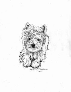 a pencil drawing of a small dog