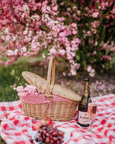 a picnic basket with wine and fruit on a checkered tablecloth in front of flowering trees