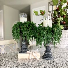 two silver vases with plants in them on a table next to a candle holder