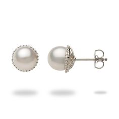 A pair of 14K white gold pierced stud earrings Two round Akoya Pearls, 8-8.5mm and whitish in color Fifty-six faceted round Diamonds totaling 0.168 carats, total weight "Halo" Design Due to their nature, no two pearls are alike. Pearls will vary in color, shape and overtone. Dimples, birthmarks, surface imperfections may be present and speak to their nature making each pearl unique. Akoya Pearl Earrings, The Bling Ring, White Pearl Earrings, White Pearl Earring, Halo Design, White Gold Earrings, Bling Rings, Akoya Pearls, Pearl Diamond