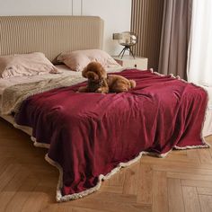 a brown dog laying on top of a bed covered in a red blanket next to a window