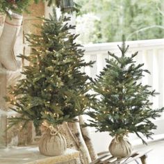 two small christmas trees sitting on top of a wooden bench