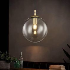 a glass globe light hanging from a ceiling fixture over a table with books and plants