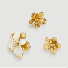 Ann Taylor Floral Brooches Gold / White Brand New, Never Worn, And In Original Packaging Flower Design Gold-Tone Faux-Pearl Embellishment Perfect For Dressing Up Perfect For Weddings, Parties, Or Fancy Events Pair With An Elegant Or Formal Gown Or A Nice Suit Chic White Formal Brooch, Yellow Gold Flower-shaped Bridal Earrings, Gold Flower-shaped Evening Jewelry, Yellow Gold Flower Brooch Jewelry, Elegant Yellow Gold Flower-shaped Pearl Earrings, Gold Flower-shaped Brooch With Rhinestones, Rhinestone Shoes, Green Pearls, White Brand