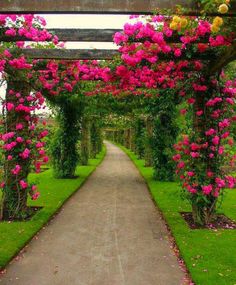 the words good morning have nice day are shown in front of an archway with pink flowers