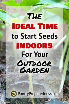 the ideal time to start seeds indoors for your outdoor garden is in this postcard