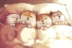 three little dogs are sleeping in the bed