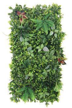 a green wall covered in lots of leaves and plants on top of each other next to a white background