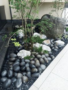 a rock garden with trees and rocks in front of a building on the side walk