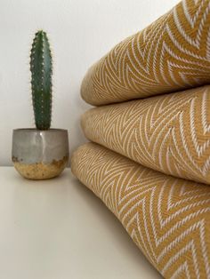 a cactus sitting on top of a white table next to some wall paper and a potted plant