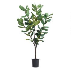 Faux Fiddle Leaf Fig Tree - v1 Fig Plant, Fiddle Fig, Artificial Potted Plants, Potted Trees