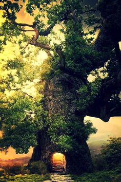 an image of a tree with stairs going into the trunk and light coming out from it