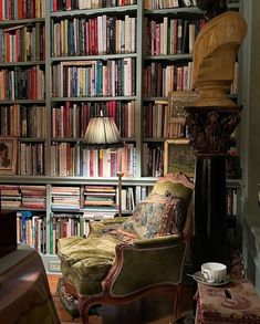 a living room filled with lots of books on top of a book shelf next to a lamp