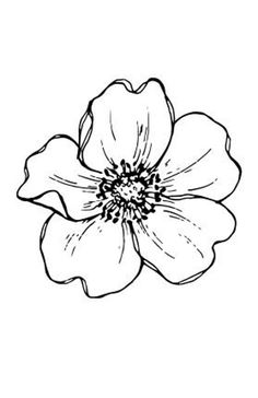 a black and white drawing of a flower