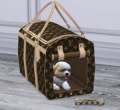 a brown and white dog in a louis vuitton bag