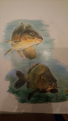 two fish are depicted in this painting on the wall