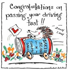 a drawing of a hedge driving a car with congratulations on passing your driving test sign