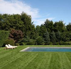 an empty pool in the middle of a lush green yard with lawn and lounge chairs