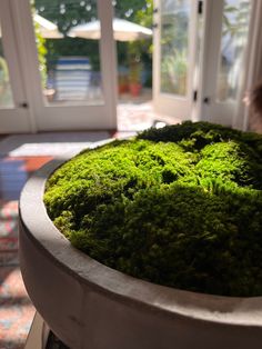 the moss is growing on top of the table in front of the glass doored patio