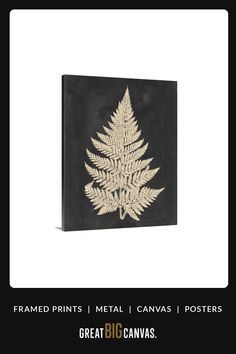 a black and white photo of a plant with gold leaves on the bottom, against a white background