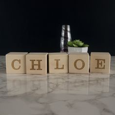 wooden blocks spelling the word'choloe'with a succulent plant in the background