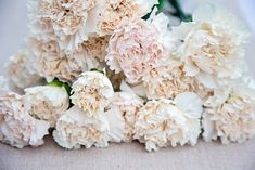 a bunch of white flowers sitting on top of a table