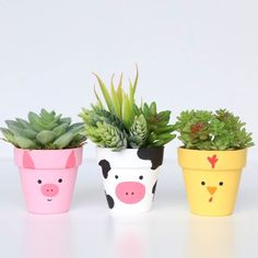 three potted plants with faces painted on them, one is pink and the other is yellow