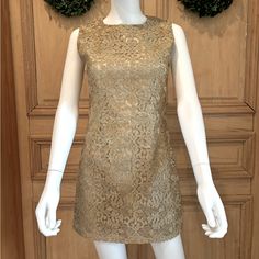 Matte Gold Metallic Lace Fully Lined Sleeveless Tank Style Shift Dress Concealed Back Zipper Worn Once.. Excellent Condition Metal Lace, Matte Gold, Sleeveless Tank, Shift Dress, Gold Metal, Mini Dress, Womens Dresses, Zipper, Lace