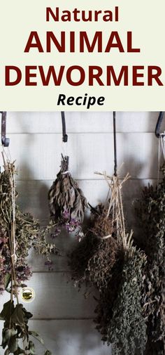 the cover of natural animal dewborner recipe, with herbs hanging from hooks and plants