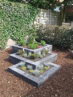 three cement planters with succulents and plants in them on the ground