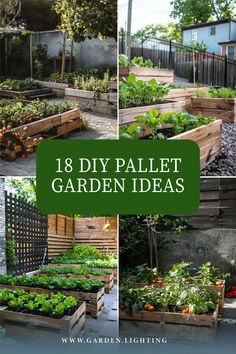 a collage of pictures of a garden with various plants and vegetables Pallet Ideas Garden, Pallets Garden, Ideas Garden