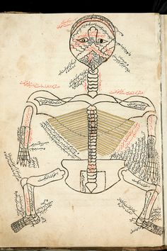 an old book with a drawing of a human body on it's back side